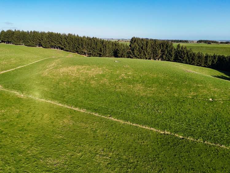 92 Carnie Road Mataura Island_13