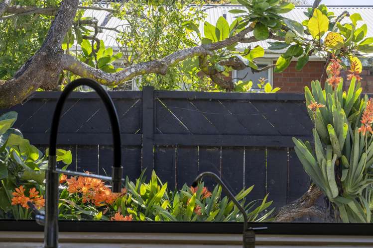 79A Nile Road Milford_8