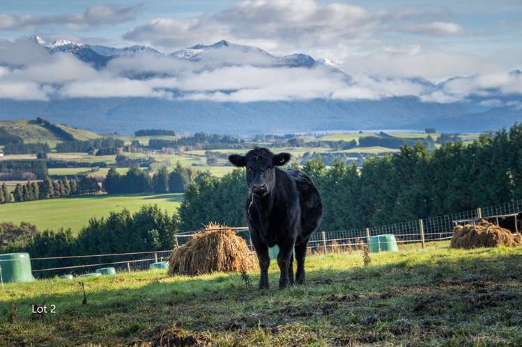 140 Pumphouse Road Te Anau & Surrounds_13