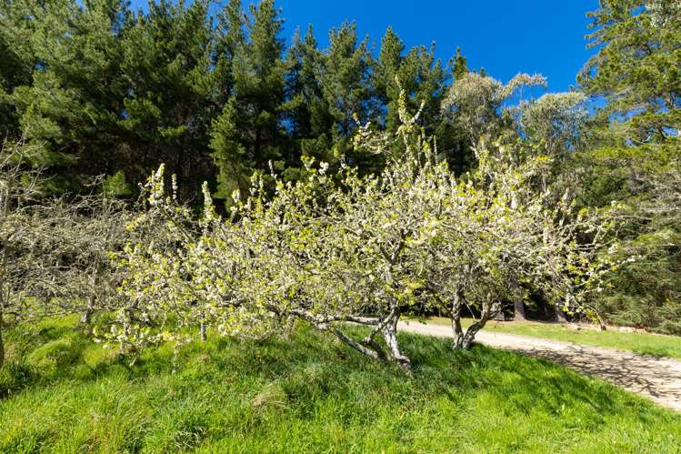 240 George Harvey Road Upper Moutere_39