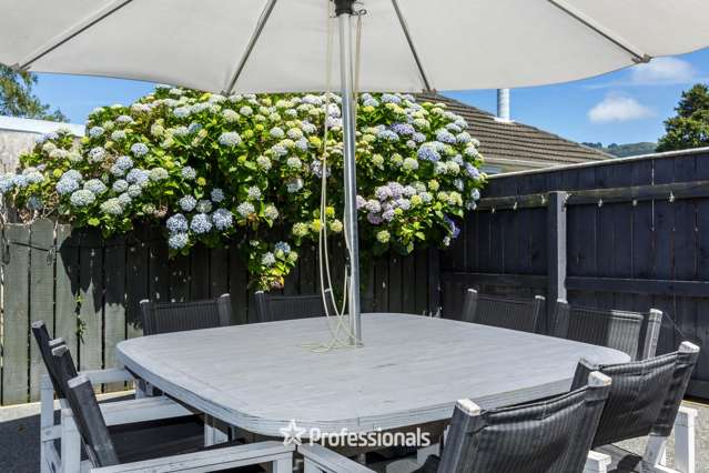 2 Bathurst Street Heretaunga_1