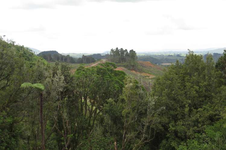 Waitomo Valley Road Otorohanga_8