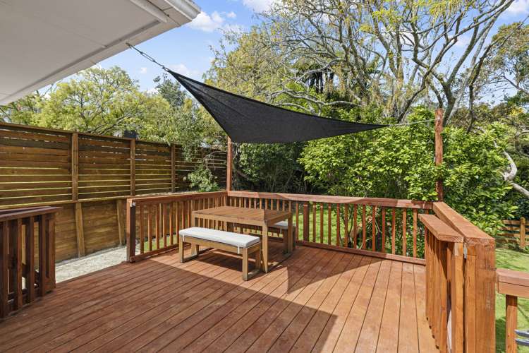 186b Huatoki Street Upper Vogeltown_14