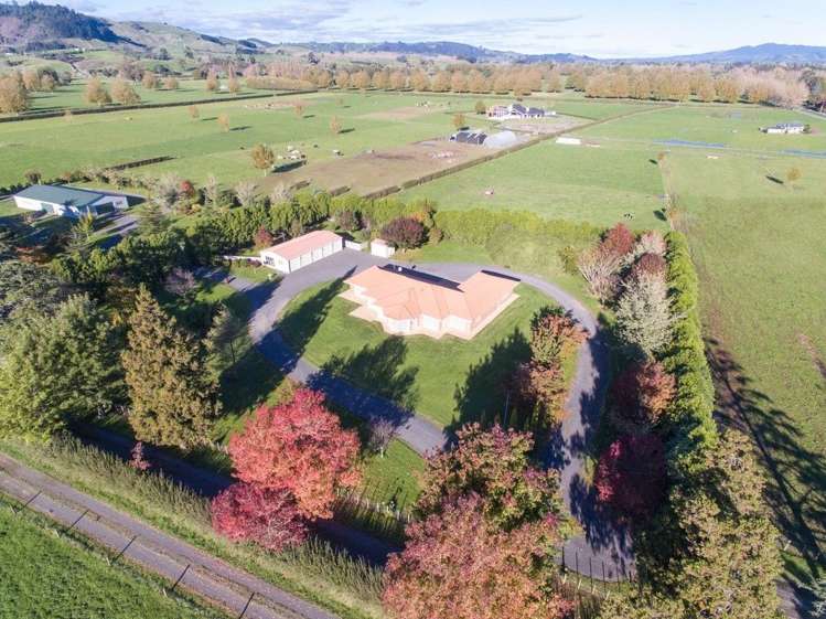 297 Bellevue Road Matangi_0