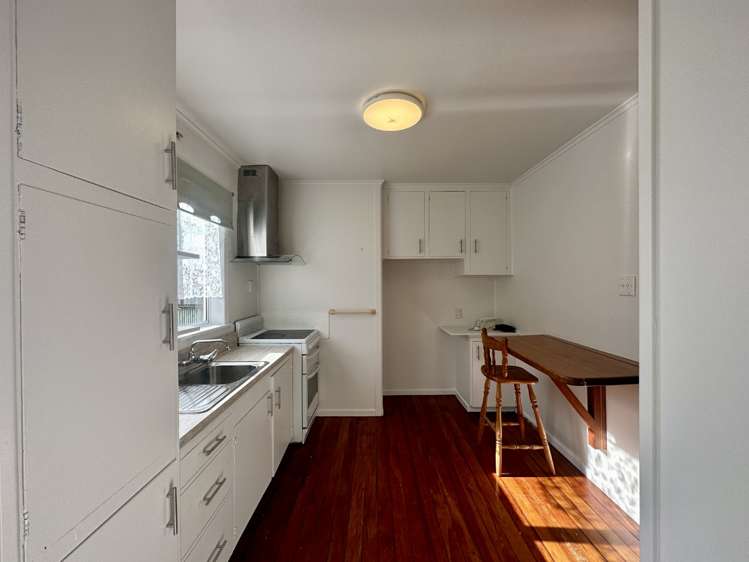 17 Kauika Road Avenues_2