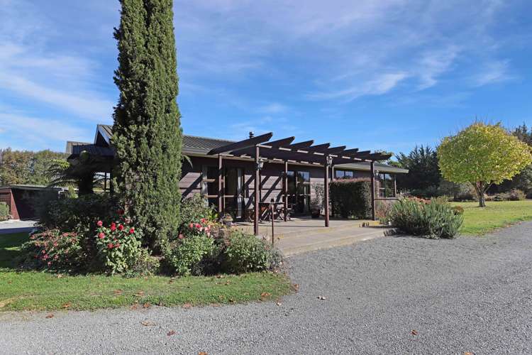 57 David Street Hinds_24