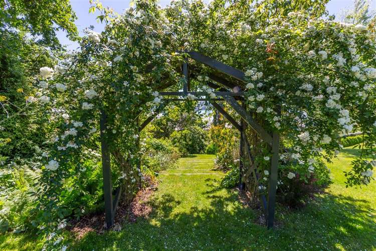 262 Wainui Main Road French Farm_19