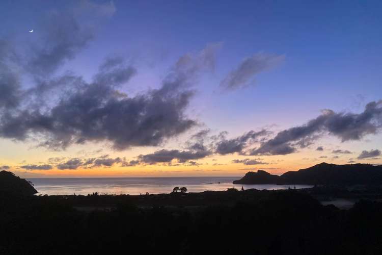 621A Medland Road Great Barrier Island_12