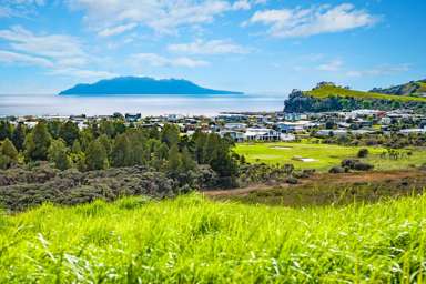 Mangatawhiri Road_2