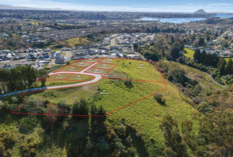 101 Quail Ridge Ohauiti_1