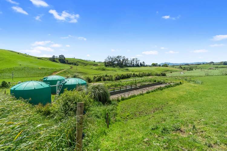 258 Paratu West Road Richmond Downs_13