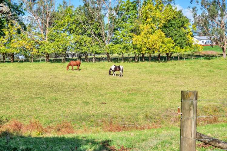 198a Devich Road Mangawhai_8