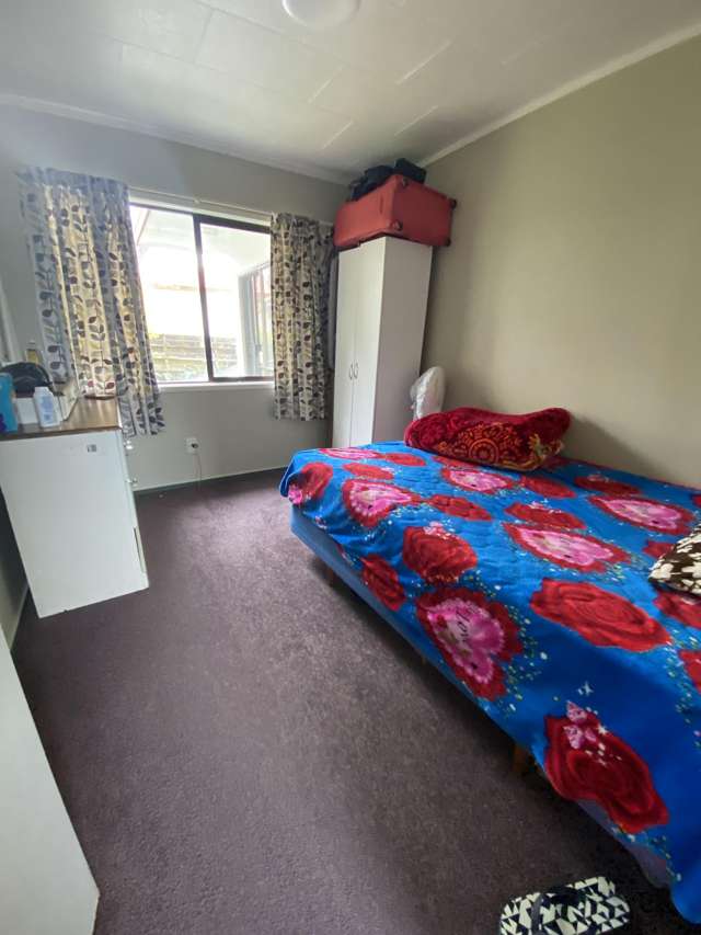53B no 3 Road Te Puke_4