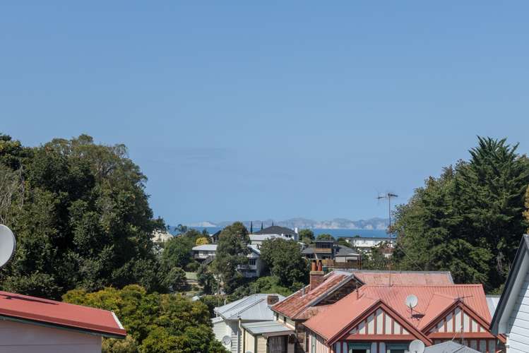 1a Harvey Road Bluff Hill_10