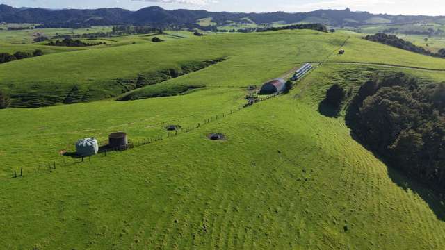 256 McIntyre Road Oromahoe_2