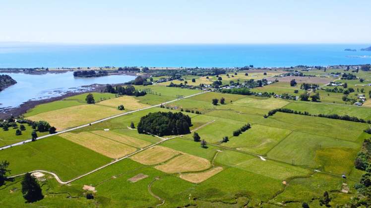 Lot 1/472 Abel Tasman Drive Clifton_6