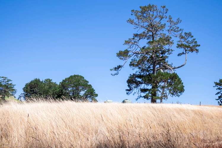 9 Aurea Terrace Kumeu_14