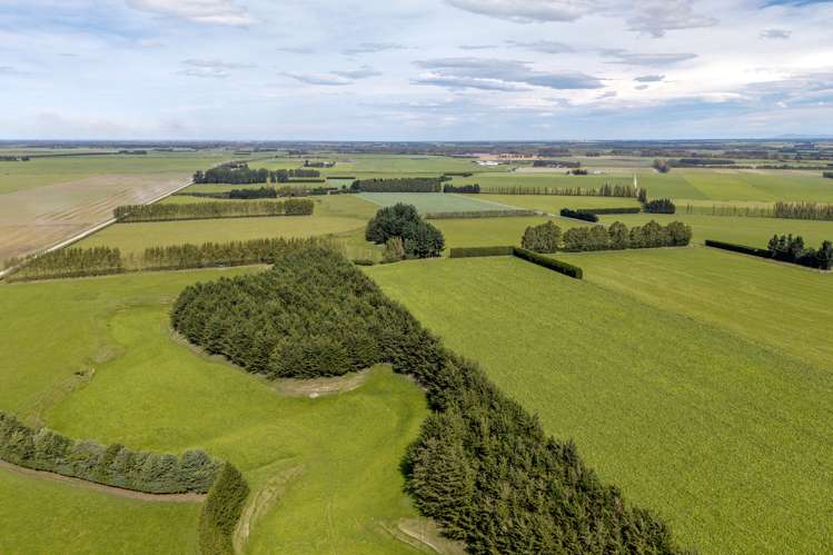 904 Dip Road Methven_9