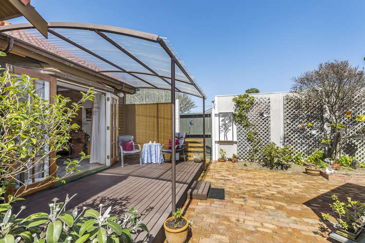 46a Devonshire Road Miramar_12