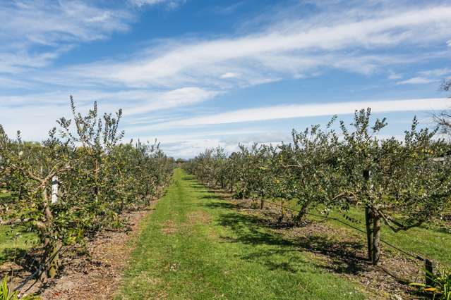 232 Te Mata Mangateretere Road Havelock North_2