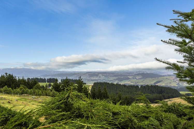 156 Halfway Bush Road Halfway Bush_13