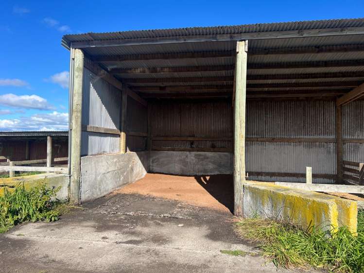 78 Brandon Hall Road Bulls_21