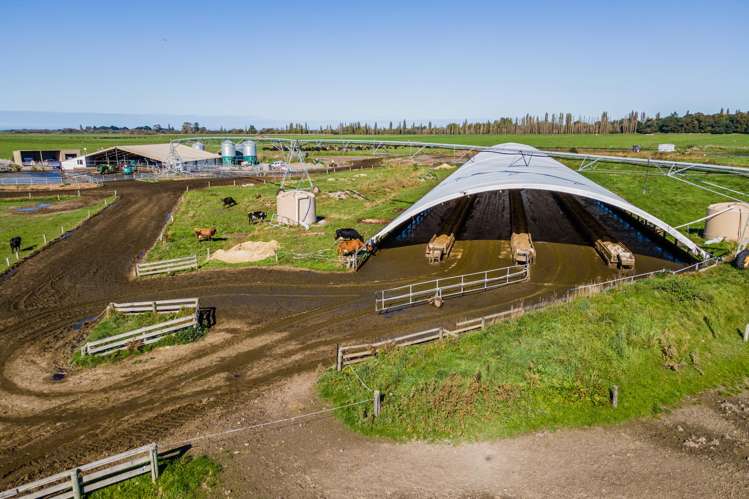 361 Poplar Road Ashburton_7