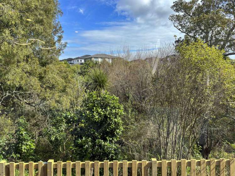 16 Hughs Way Flat Bush_11