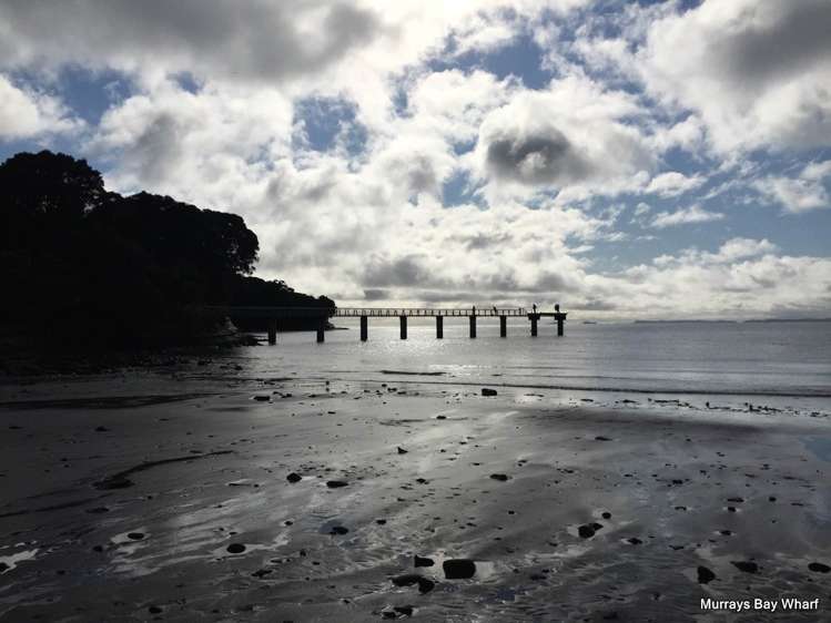 2/25 Churchill Road Murrays Bay_54