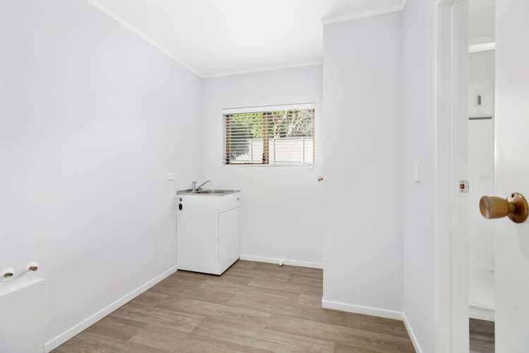 7 Maryland Street Point Chevalier_13