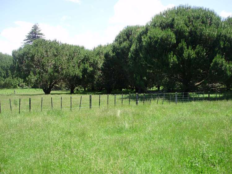 26 Liddell Road Whangamata_12