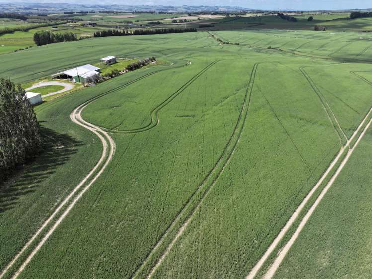 583 Reaby Road Gore_18