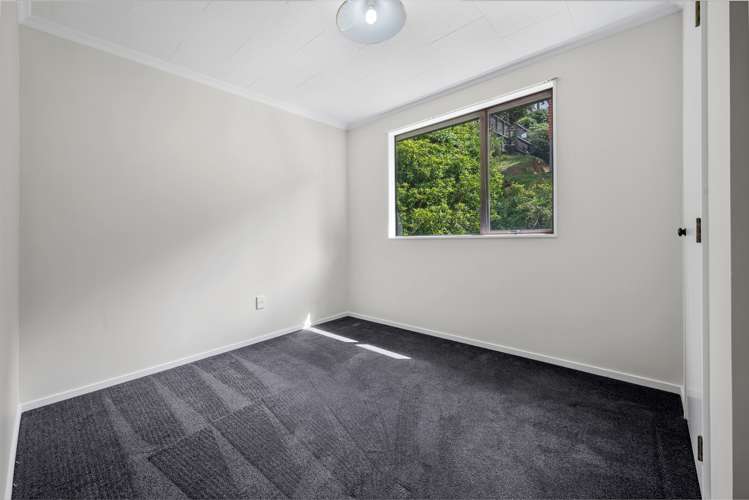 43 Durham Street Picton_13