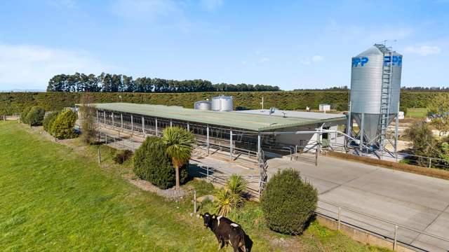 317 South Two Chain Road Dunsandel_4