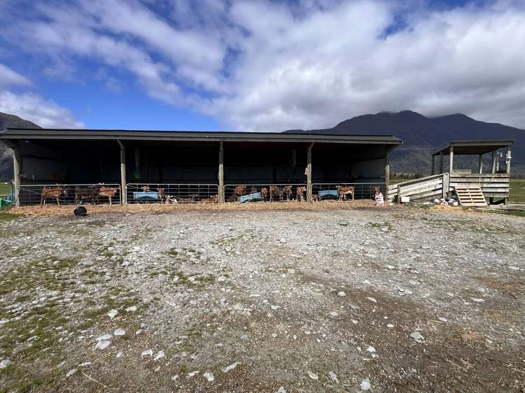 117 Burrough Road Whataroa_14
