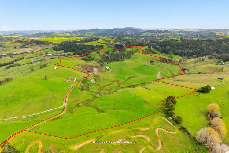 462 Kahikatea Flat Road_0