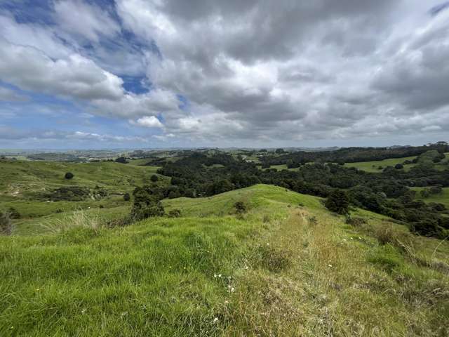 Franklin Road Paparoa_4