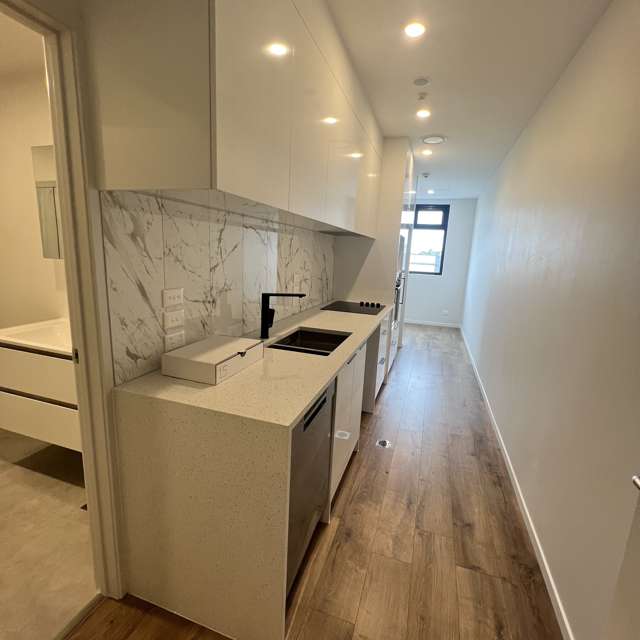 202/1a Kings Road Mount Roskill_1