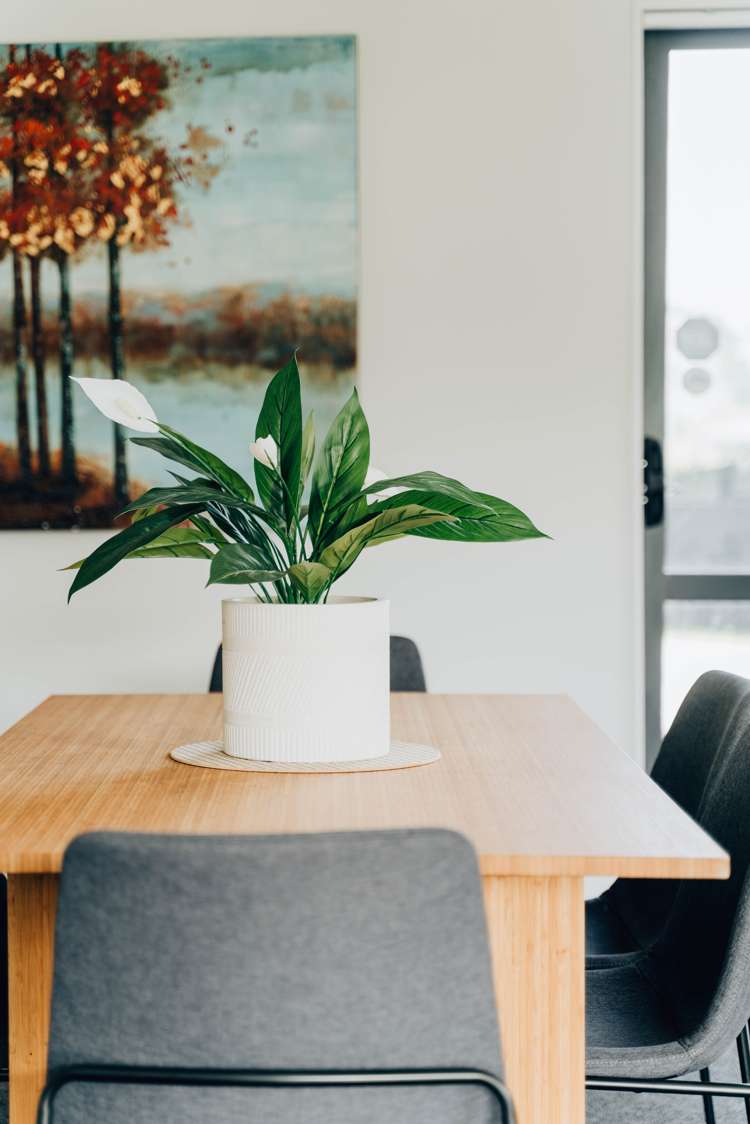 4 Eloise Place Clendon Park_6