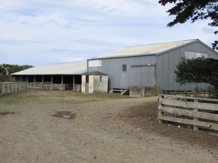 368 Otara Haldane Road Wyndham Surrounds_6