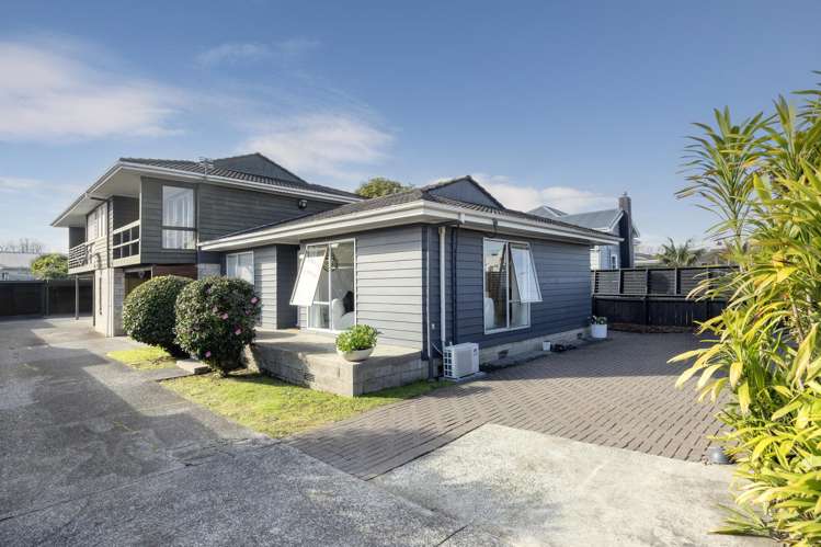 Unit 1/209 Point Chevalier Road_0