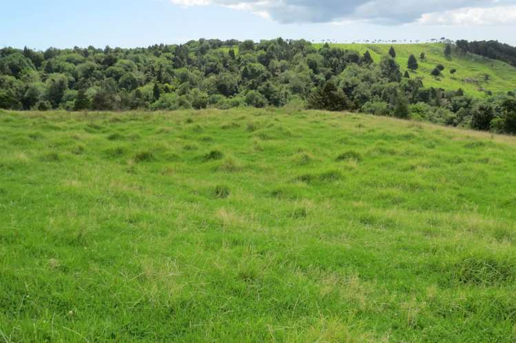 Church Road Kaitaia_9