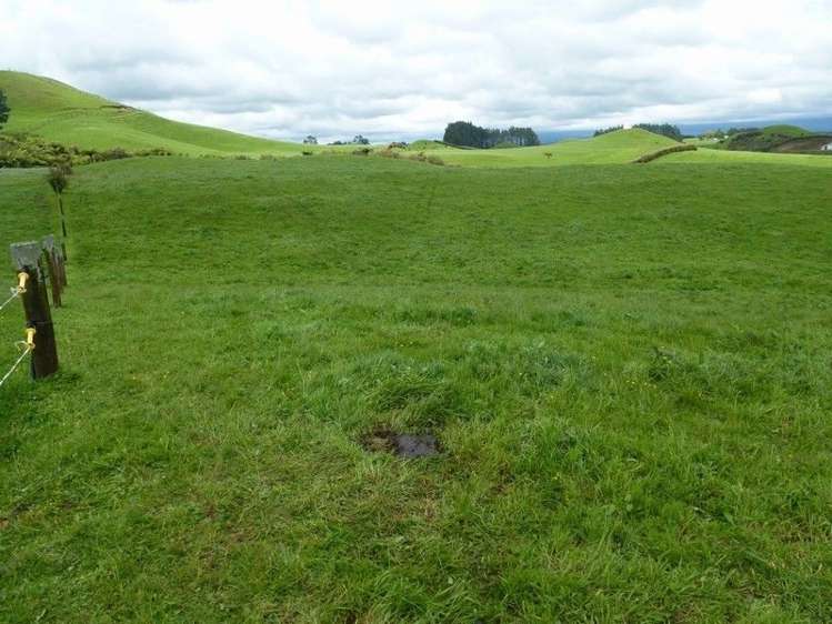 1265 Mountain Road Inglewood_22