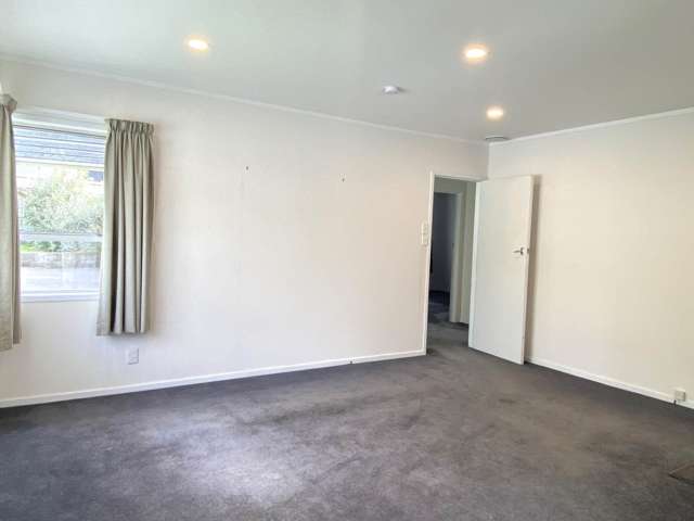 1 Athena Drive Totara Vale_2