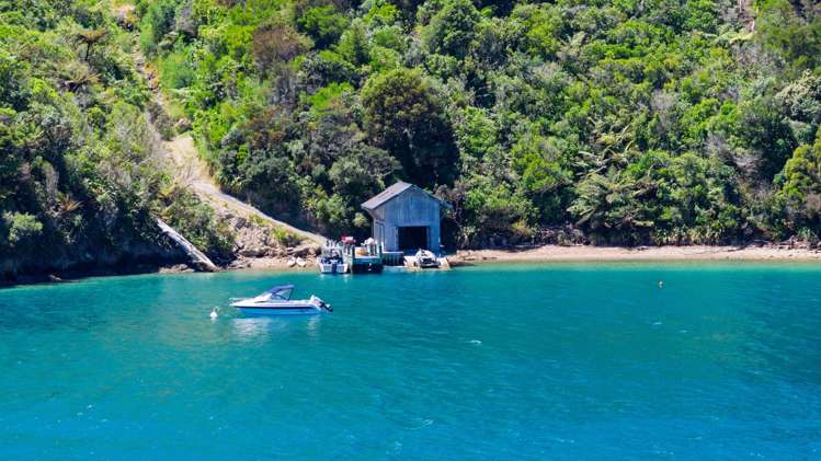 - Bay of Many Coves Queen Charlotte Sound_23
