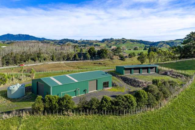 143 Pond Road Raglan_2