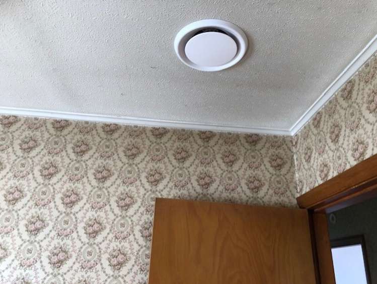 19 Hall Street Cheviot_5