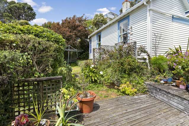 47 Durham Street Aro Valley_2