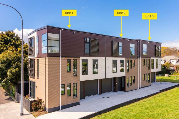 568 Manukau Road Epsom_30