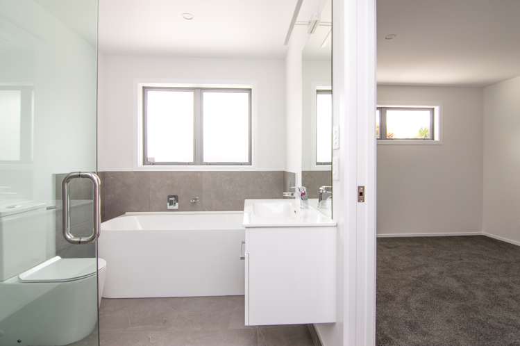 49a Escort Grove Awapuni_7